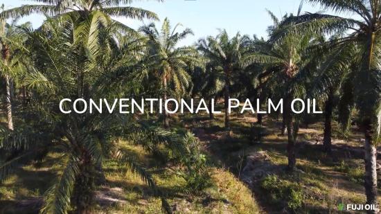 Fuji Oil's sustainable palm commitments